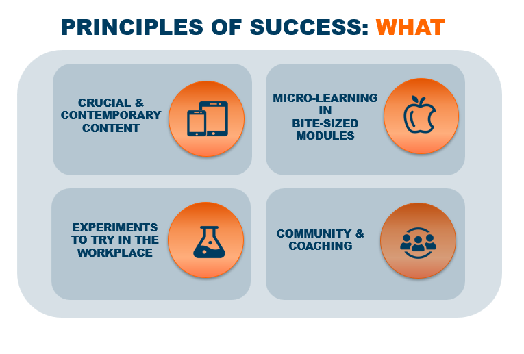 Success Principles: What 