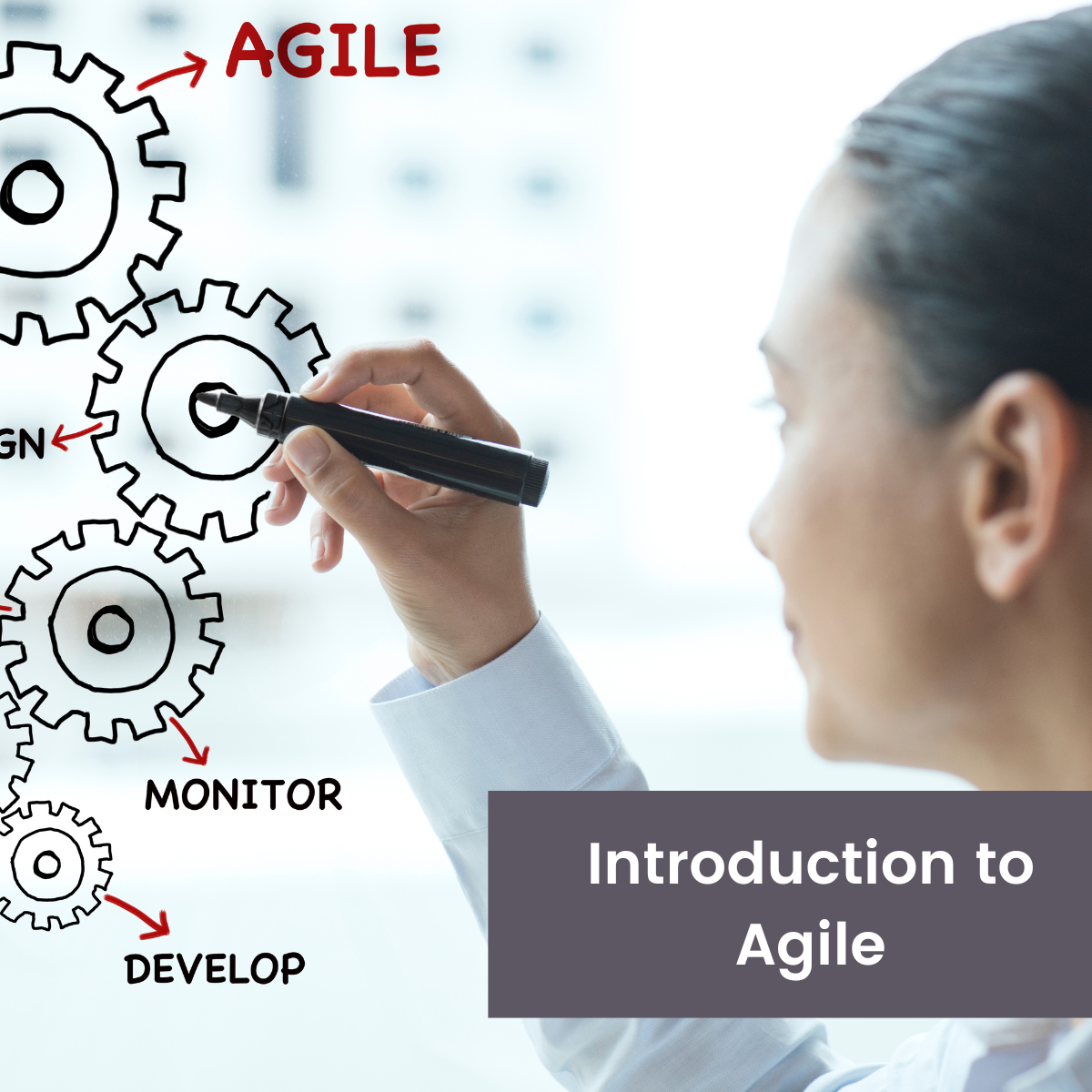 Introduction To Agile