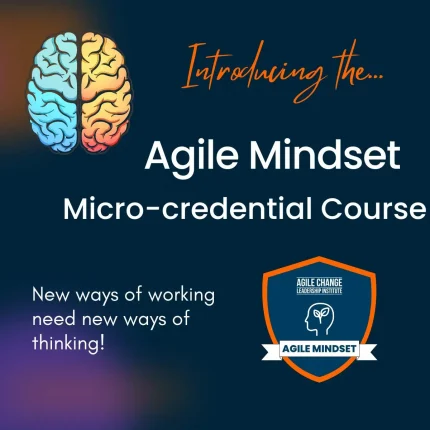 2022 Launch Agile Mindset
