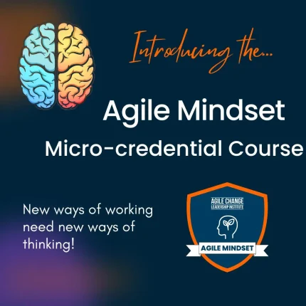 2022 Launch Agile Mindset