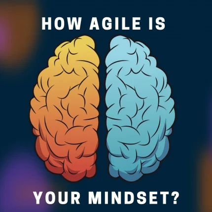 2022 Ahile Mindset Scorecard