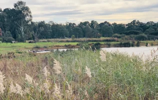 Acknowledgeent Of Country