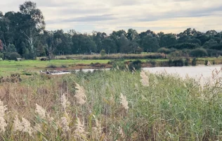 Acknowledgeent Of Country
